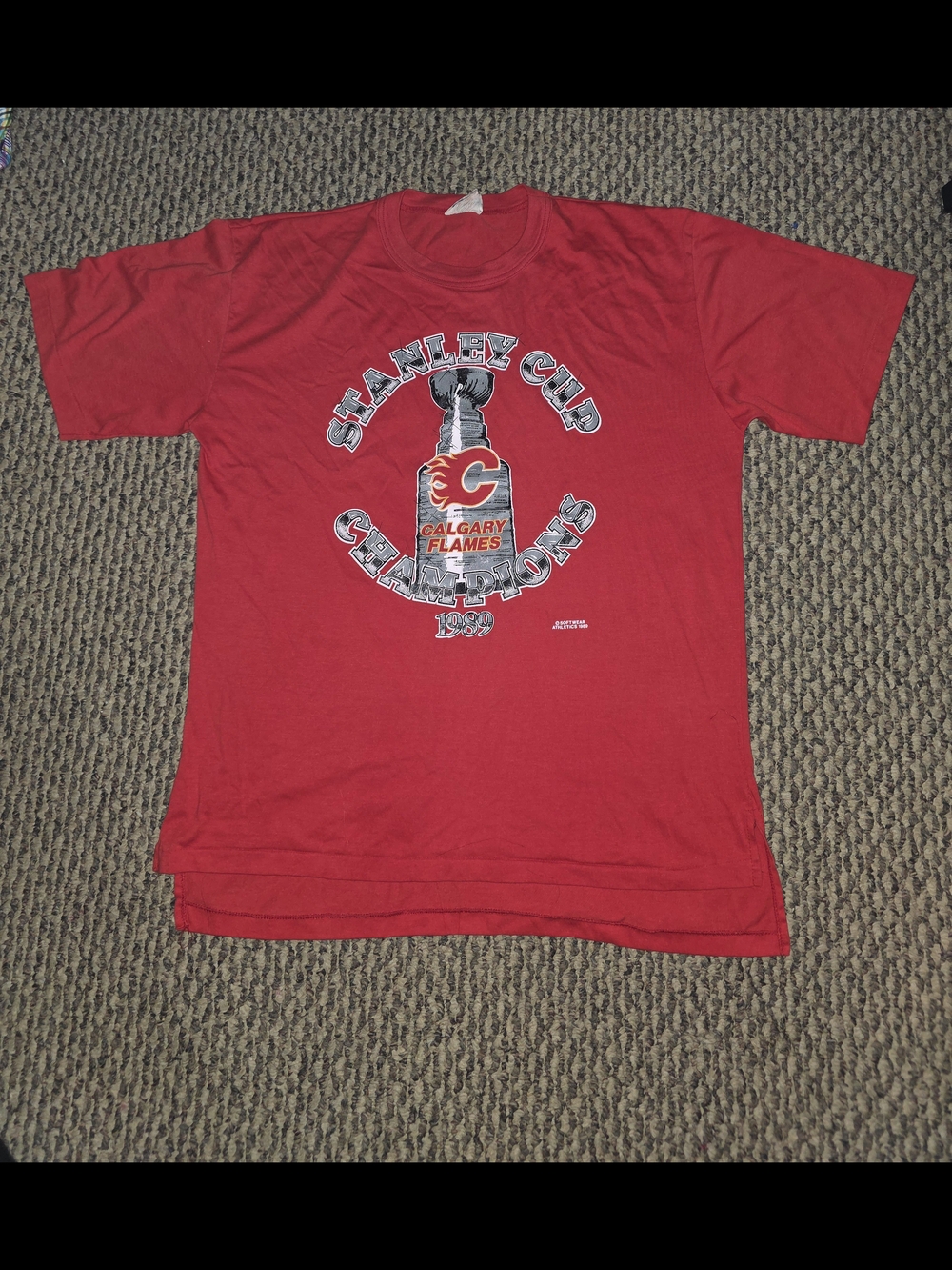 Vintage 1989 Red Stanley Cup Champions Graphic T‑Shirt